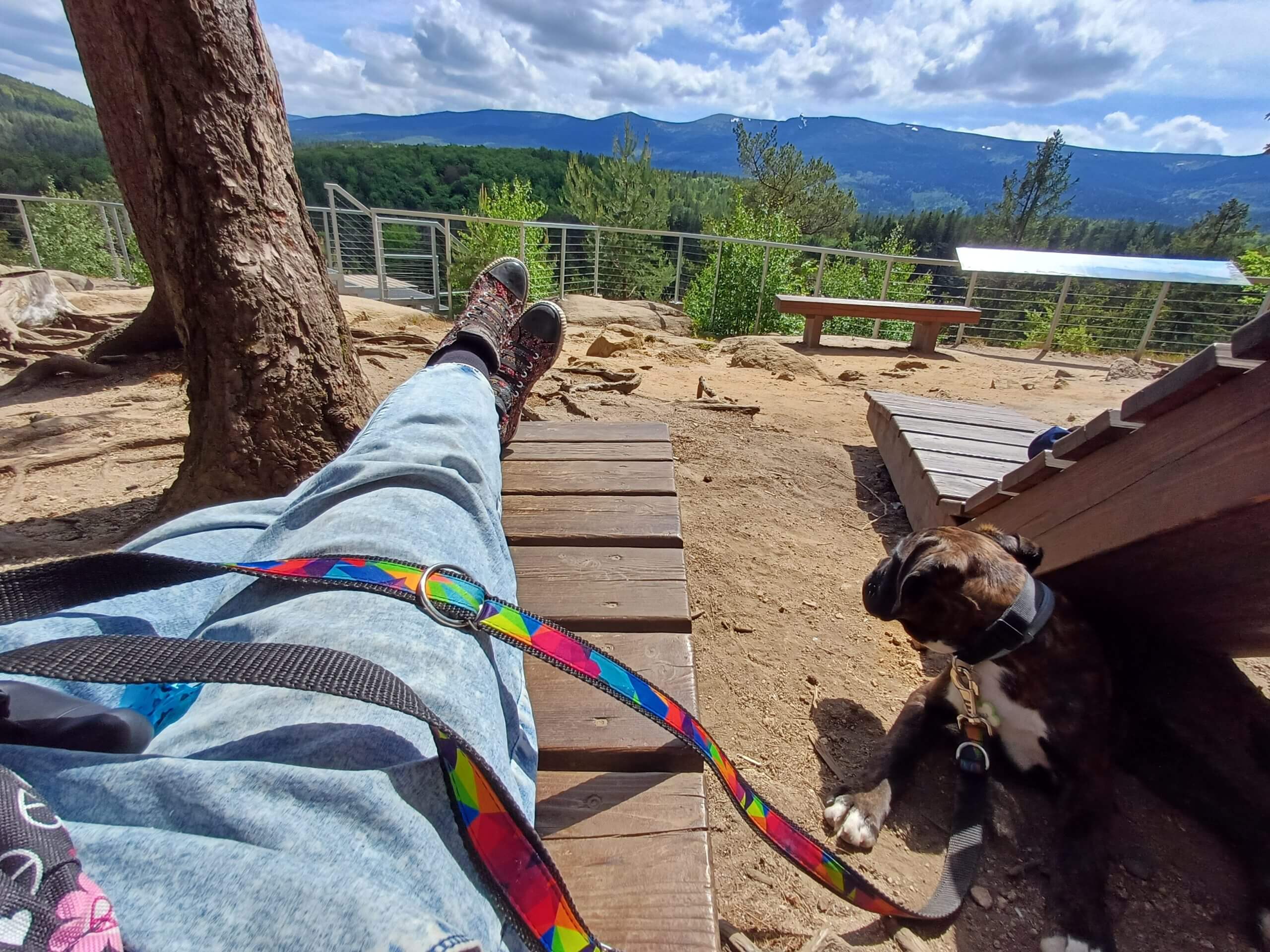 Spacer z psem w górach – zdjęcie do strony Fajny Piesek