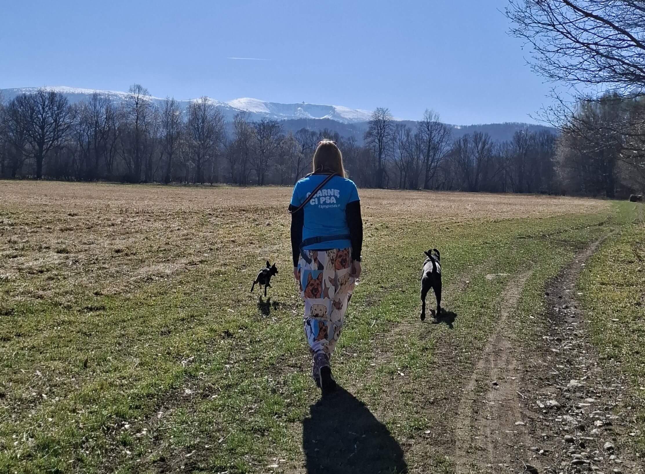 Agnieszka z Fajnego Pieska podczas szkolenia psów w Jeleniej Górze