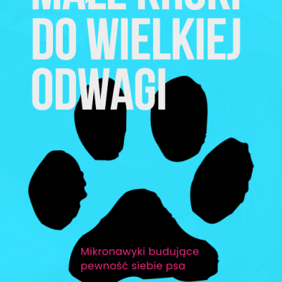 Okładka ebooka „Małe kroki do wielkiej odwagi” – pies lękowy i reaktywny