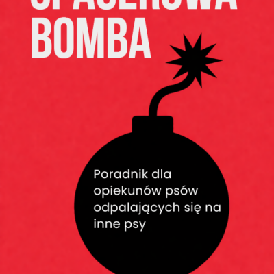 Ebook "Spacerowa bomba"
