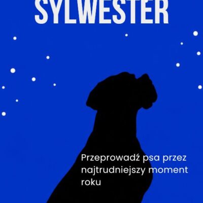Ebook "Spokojny sylwester"